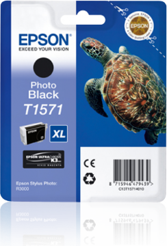 Epson Photo Black Ink Cartridge for Stylus Photo R3000